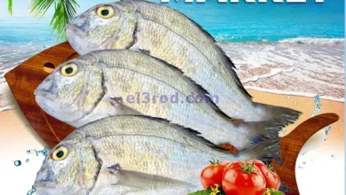 el3rod.com00001