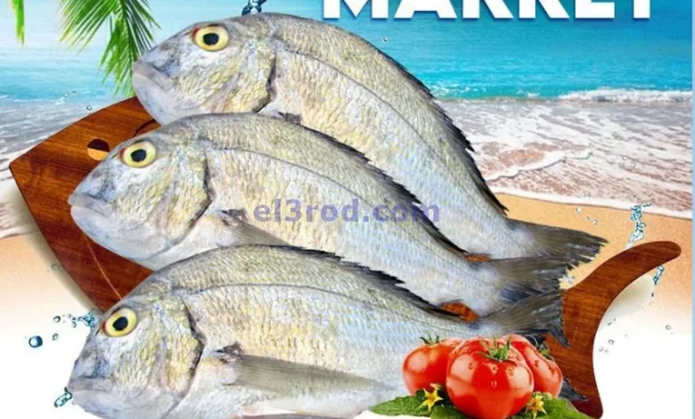 el3rod.com00001