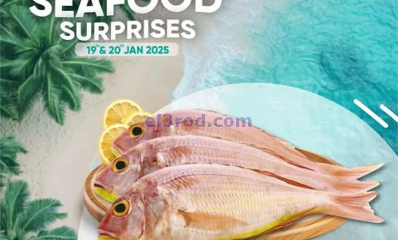 el3rod.com00001