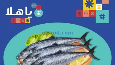 el3rod.com00002