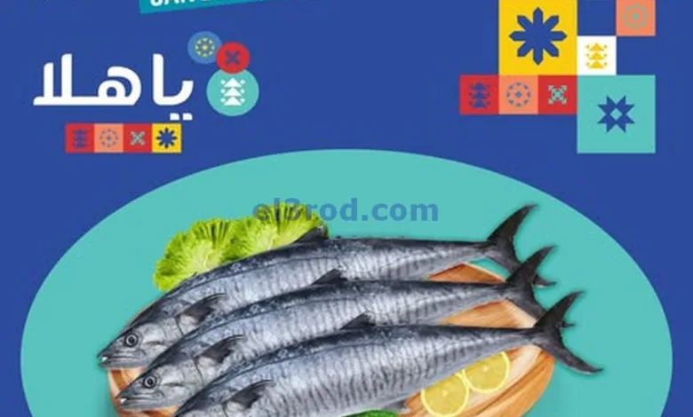 el3rod.com00002