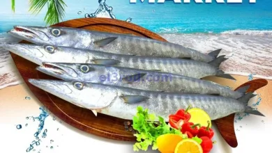el3rod.com00002