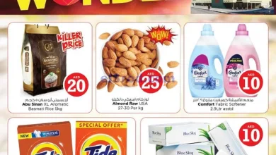 عروض مجلة نستو ام القيوين|19-1-2025|الاحد el3rod.com00002