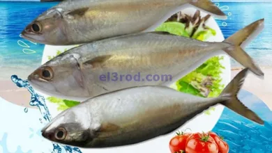 عروض تاج هايبر ماركت عمان|21-1-2025|الثلاثاء el3rod.com00002