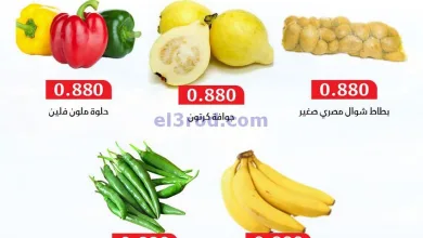 el3rod.com00003