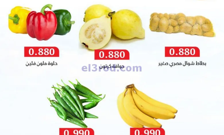 el3rod.com00003