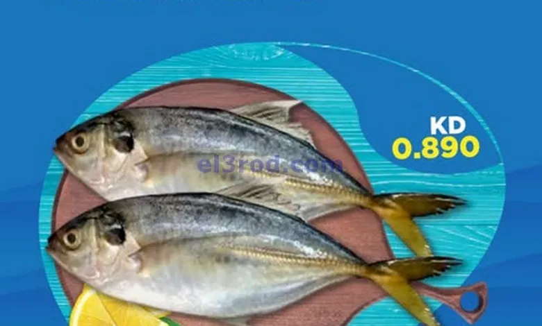 el3rod.com00003