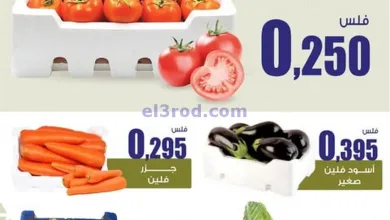 el3rod.com00003