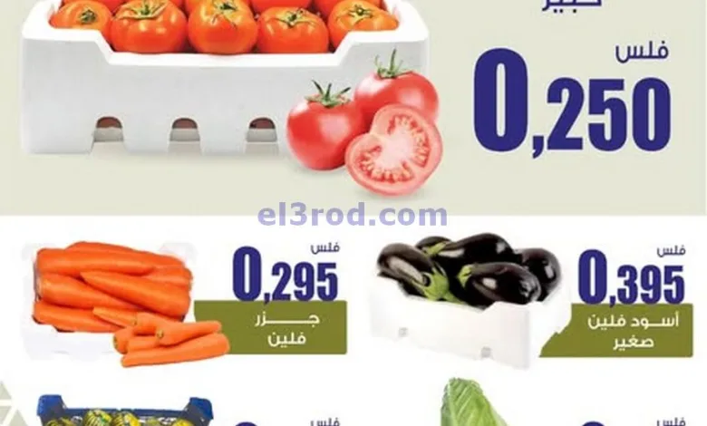 el3rod.com00003