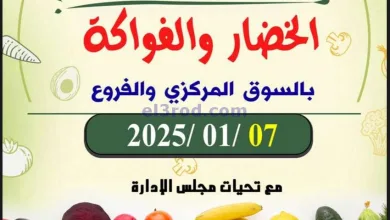 el3rod.com00004