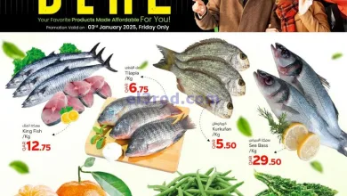 el3rod.com00004