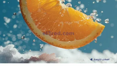 el3rod.com00008