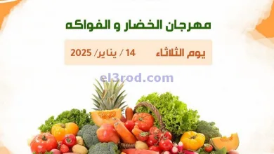 el3rod.com00009