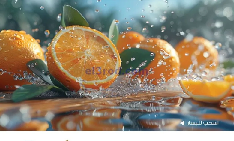 el3rod.com00009
