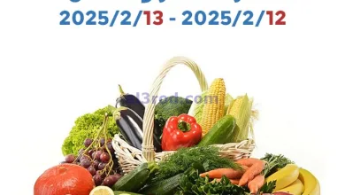 el3rod.com00001