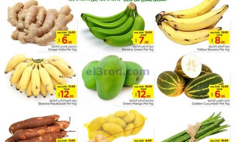 el3rod.com00001