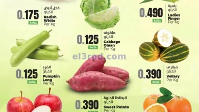 el3rod.com00001