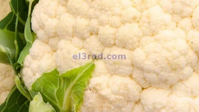 عروض سيتى ماركت الكويت|24 حتى 25-2-2025|طازجة el3rod.com00003