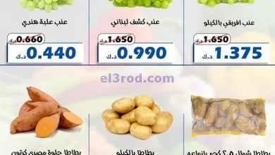 el3rod.com00003