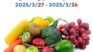 el3rod.com00001