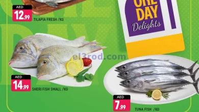 عروض شكلان الامارات|10-3-2025|الاثنين el3rod.com00001