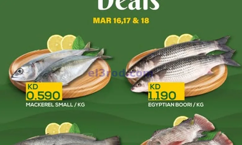el3rod.com00001