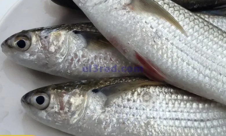 عروض سيتى ماركت الكويت|18-3-2025|الطازجة el3rod.com00001