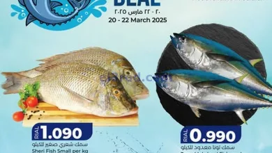 el3rod.com00001