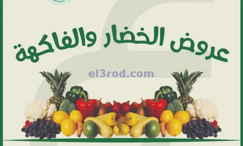 el3rod.com00002
