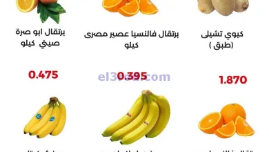 el3rod.com00003