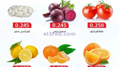 el3rod.com00004