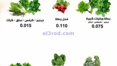 el3rod.com00006