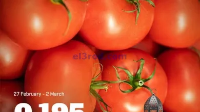 el3rod.com00017