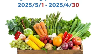 el3rod.com00001