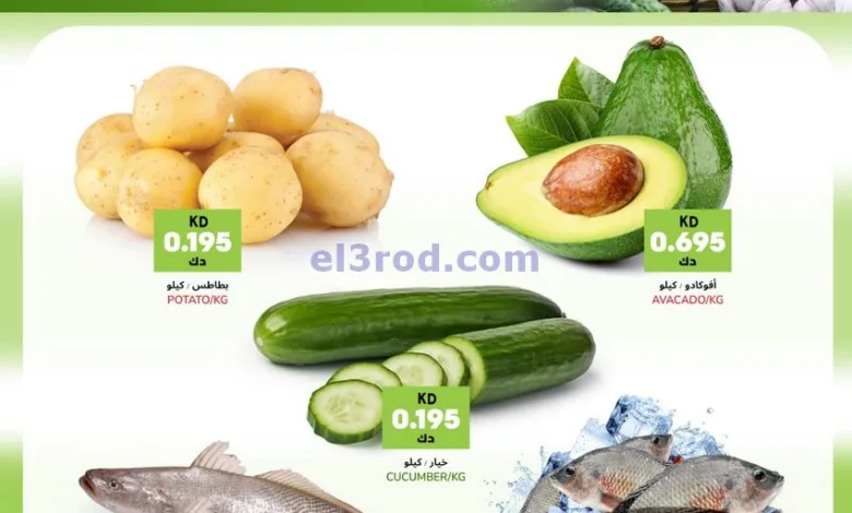 el3rod.com00001