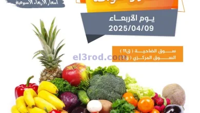 el3rod.com00001