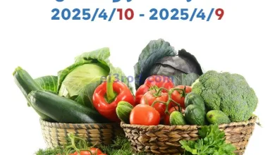 el3rod.com00001