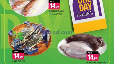 عروض شكلان الامارات|9-4-2025|الاربعاء el3rod.com00001