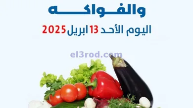 عروض جمعية الضاحية والمنصورية التعاوني|13-4-2025 el3rod.com00001