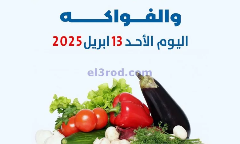 el3rod.com00001