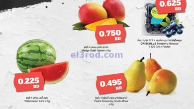 el3rod.com00002