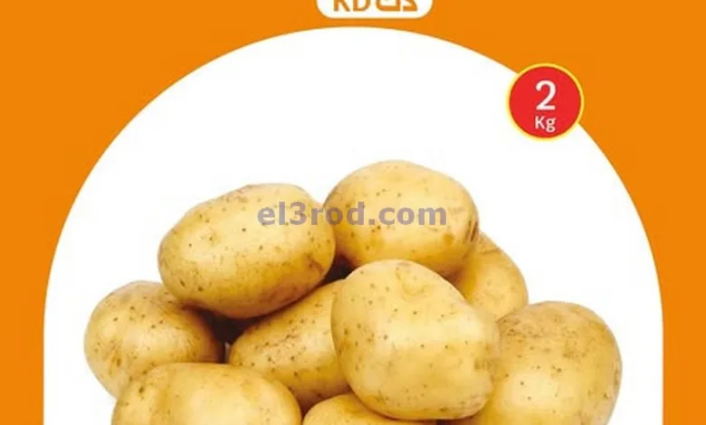 عروض سيتى ماركت كويت|من 11-4-2025|بـ ½ ,1 دينار el3rod.com00002
