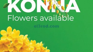عروض شكلان الامارات|12 حتى 14-4-2025|فيشو el3rod.com00002