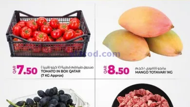 el3rod.com00002