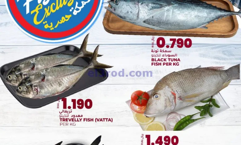el3rod.com00002