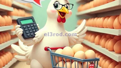 عروض بيم مصر|طبق 30 بيضة بـ 124.95ج|24-4-2025 el3rod.com00002