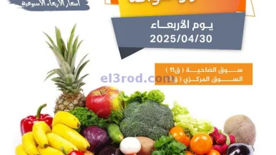el3rod.com00003