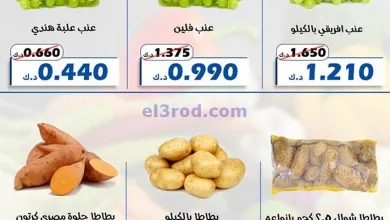 el3rod.com00003