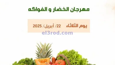 el3rod.com00005