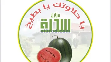 عروض مؤسسة حصاد البساتين السعودية|27-5-2025 el3rod.com00001